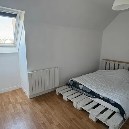 8min A Pied De La Gare Apartmán Le Mans